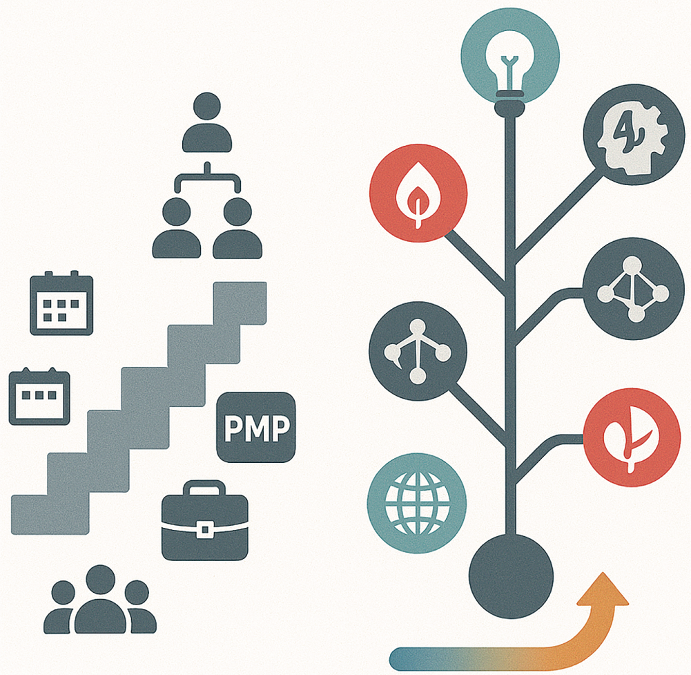 A schematic diagram illustrates the project management profession using icons of hierarchy, a calendar, P M P, a briefcase, and a tree with a lightbulb.
