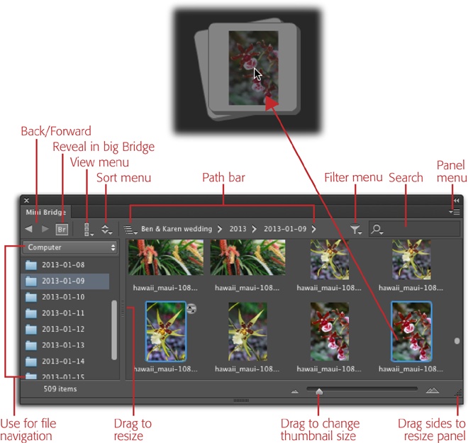 The Mini Bridge panel gives you easy access to images right inside Photoshop. Just like any other panel, you can grab its tab and drag it anywhere else on your screen to make it free-floating (like the version shown here) or dock it elsewhere, though the size slider only appears in the floating version. Use the drop-down menu and list of folders on the panel’s left to navigate to images, and then drag and drop ’em from the Mini Bridge panel right into your Photoshop window (or document), as shown here. As soon as you release your mouse button, Photoshop opens each image in its very own tabbed document (or, if you already have an image open, it’ll place the images as new layers within the document).