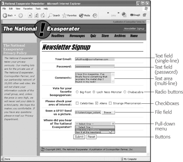 Forms collect information using a variety of different interface elements like text boxes, password fields, and pull-down menus. You can even add a File Field to let visitors select and upload a file to your site.