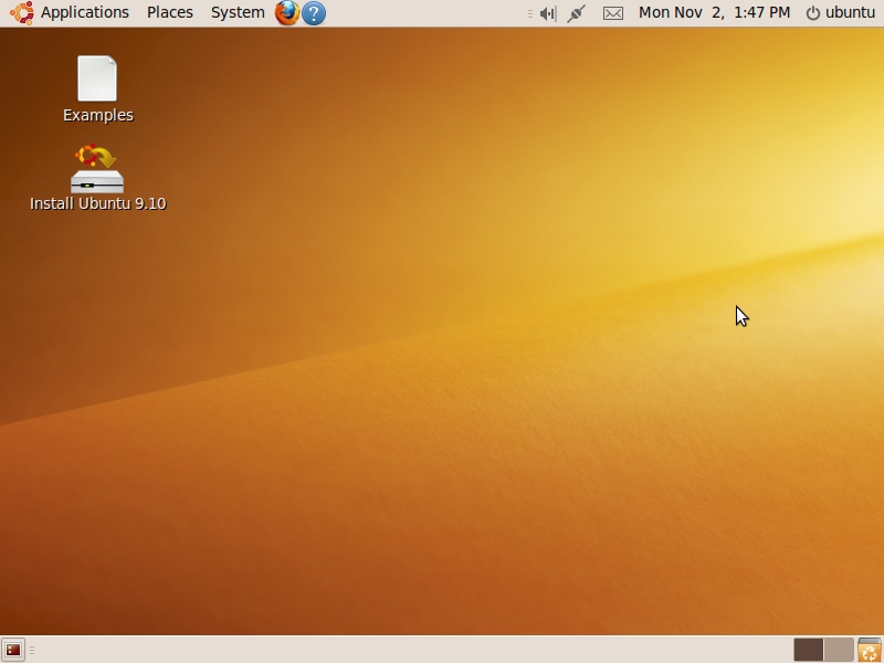 Ubuntu, up and running from the Live DVD