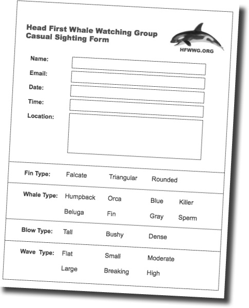 image with no caption