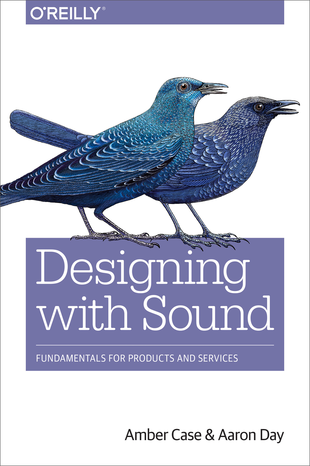 Cover - Designing with Sound [Book]