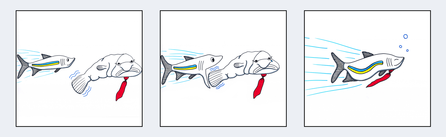 Slow fish versus fast fish