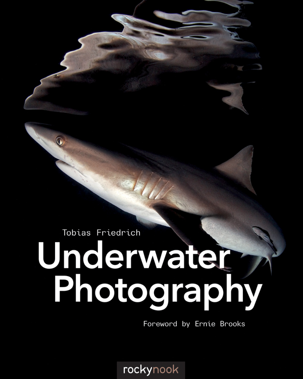 cover-image