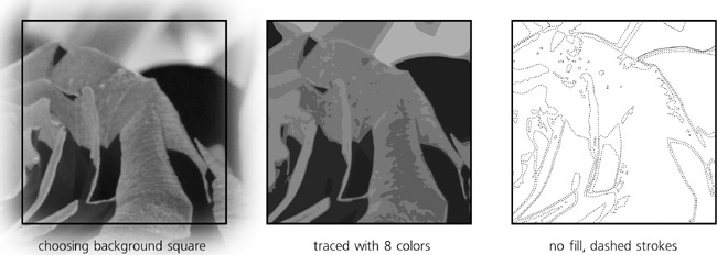 Tracing the source photo