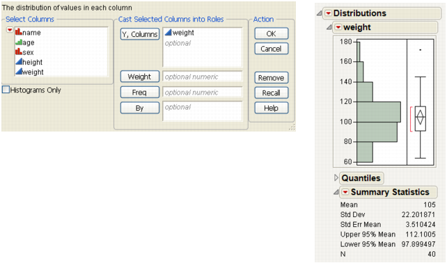 Example of a JMP Launch Window and Report Window
