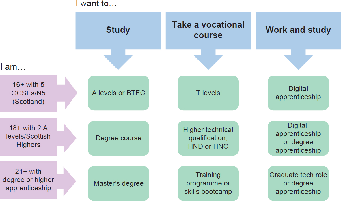 Flow chart: Educational pathways based on age and qualifications. Shows options for study, vocational courses, or work-study programs for three age/qualification levels: 16+, 18+, and 21+ with degree.