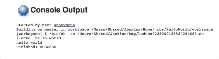 The Console Output