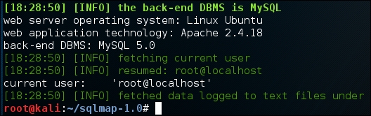 Dumping the data – in an error-based scenario