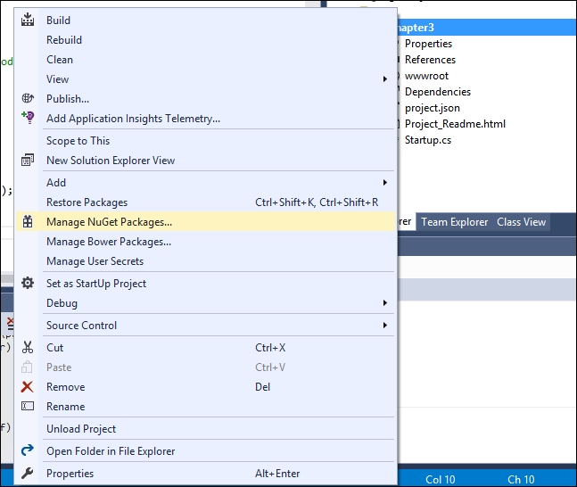 Installing the ASP.NET Core NuGet package in your application