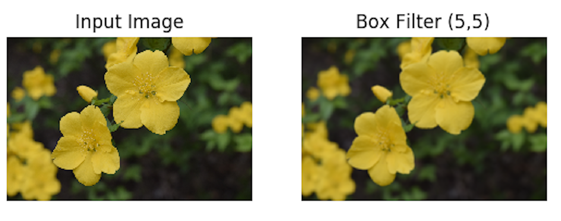Box filters - Practical Computer Vision [Book]