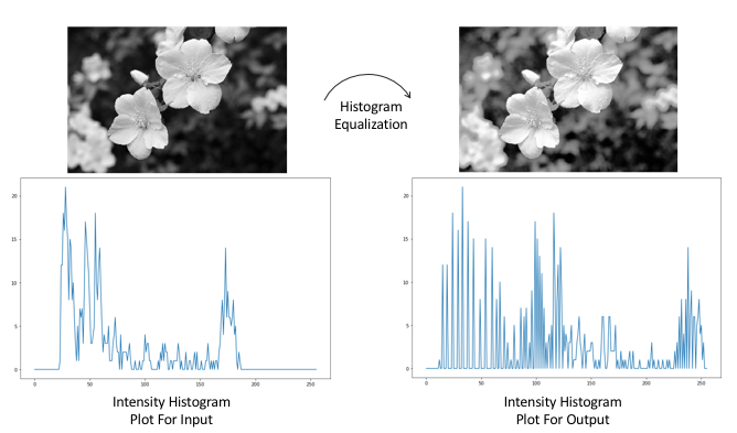 Histogram equalization - Practical Computer Vision [Book]