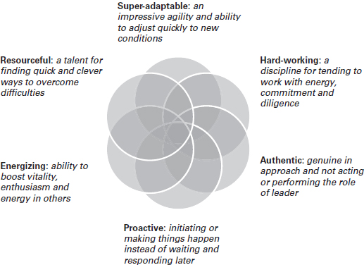 9 Future S.H.A.P.E.R. leadership traits - Future Shaper [Book]