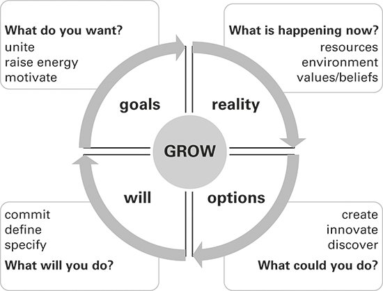 A Figure illustrates the four features of the GROW model.