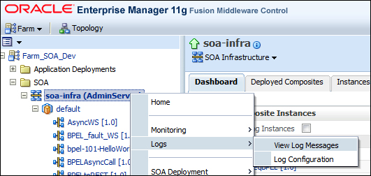 Viewing logfiles in the Enterprise Manager Console - BPEL and Java ...