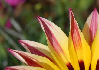 Für Web speichern