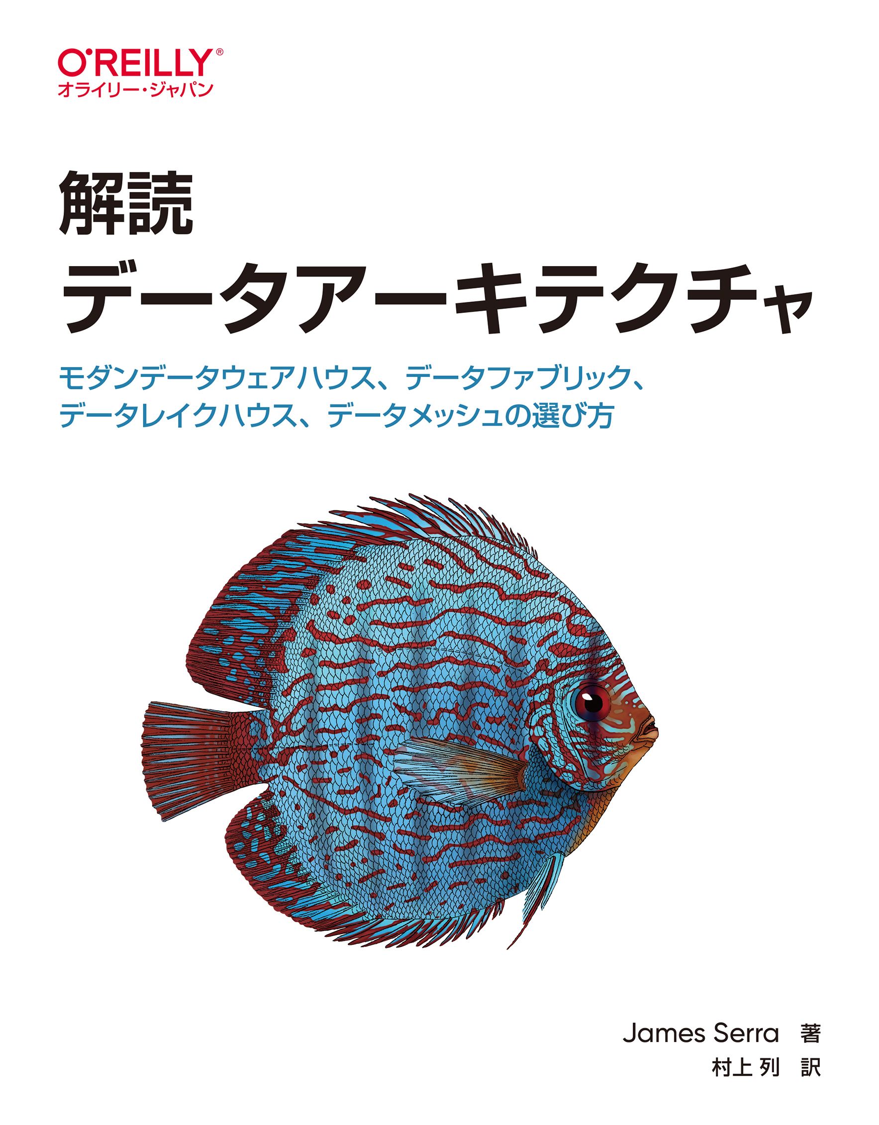 解読 データアーキテクチャ