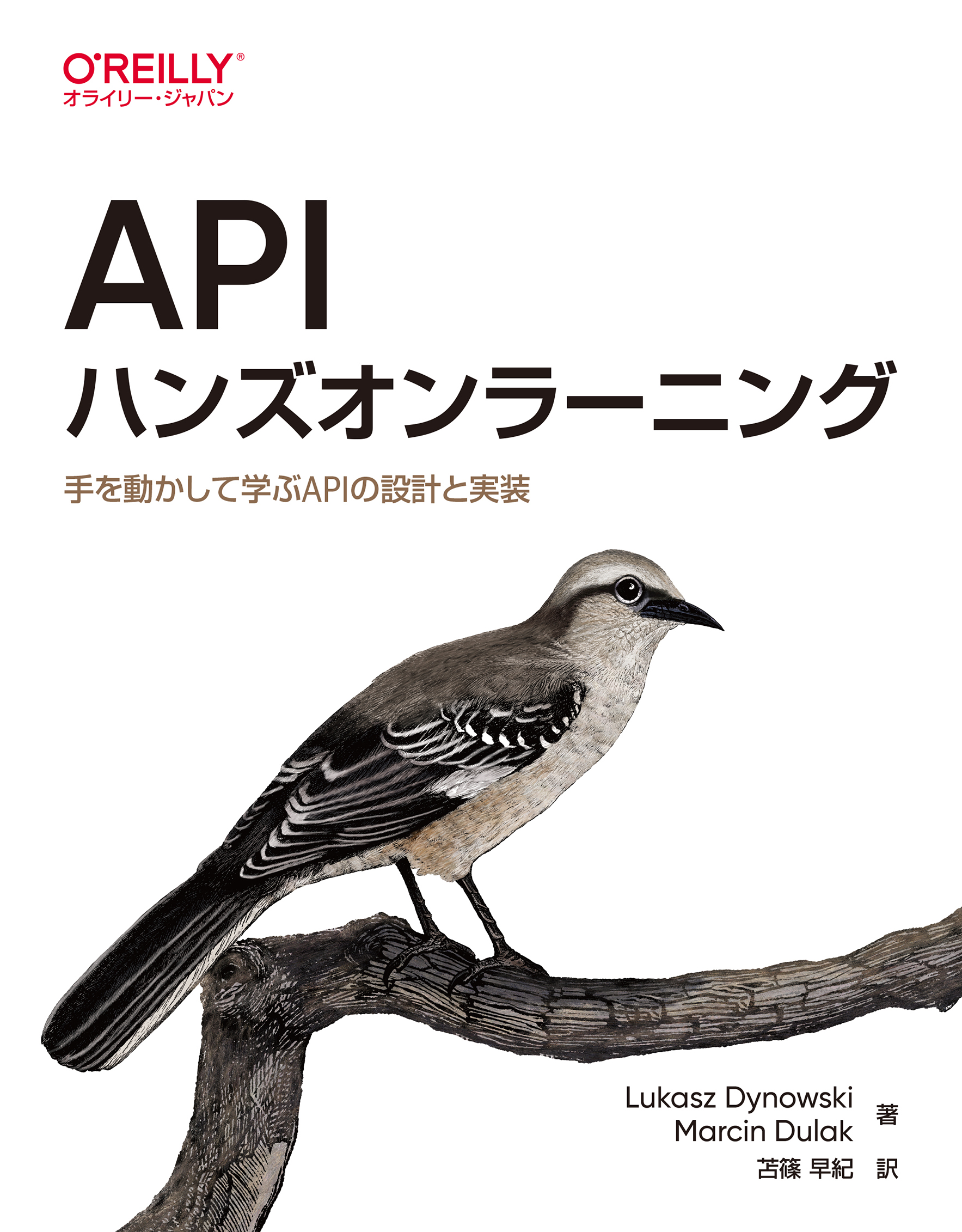 APIハンズオンラーニング