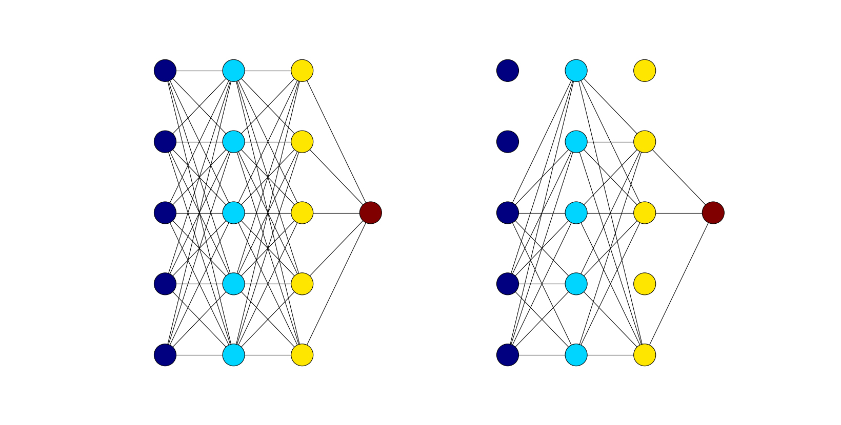 network during training