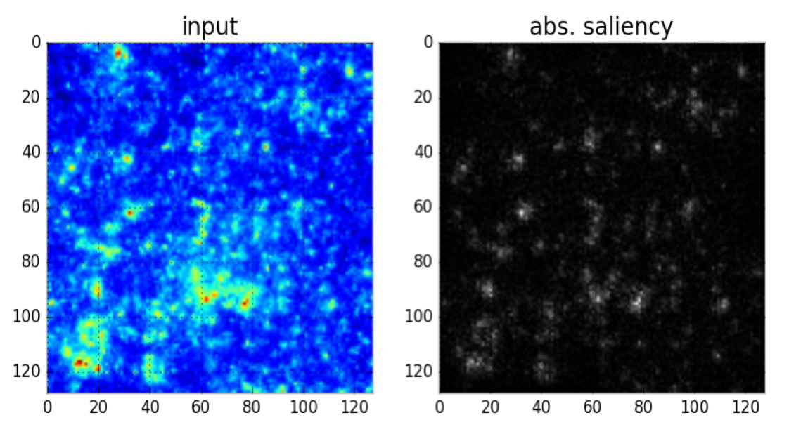 mass map from cosmological simulation and saliency map of the features