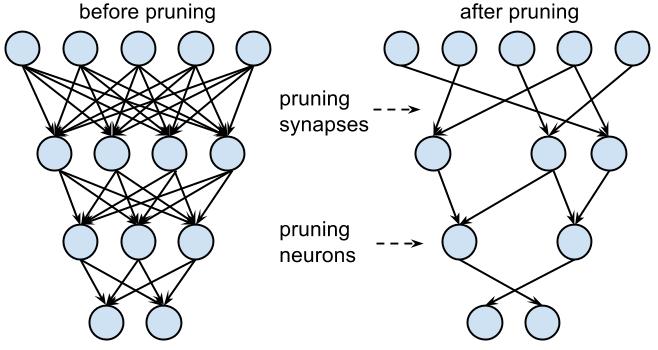 Pruning a neural network