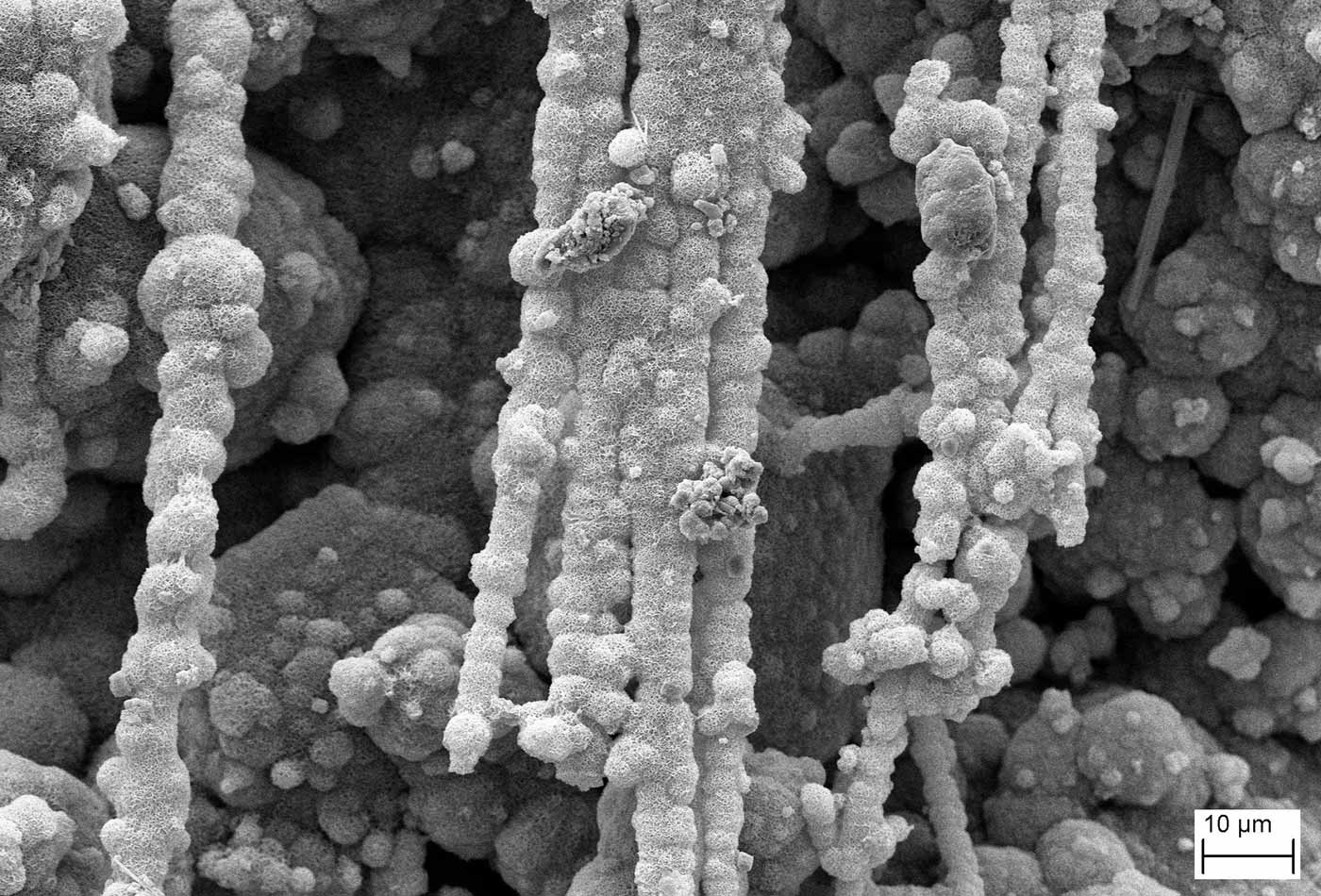 This SEM image shows formation of a crack bridging for self-healing in concrete.