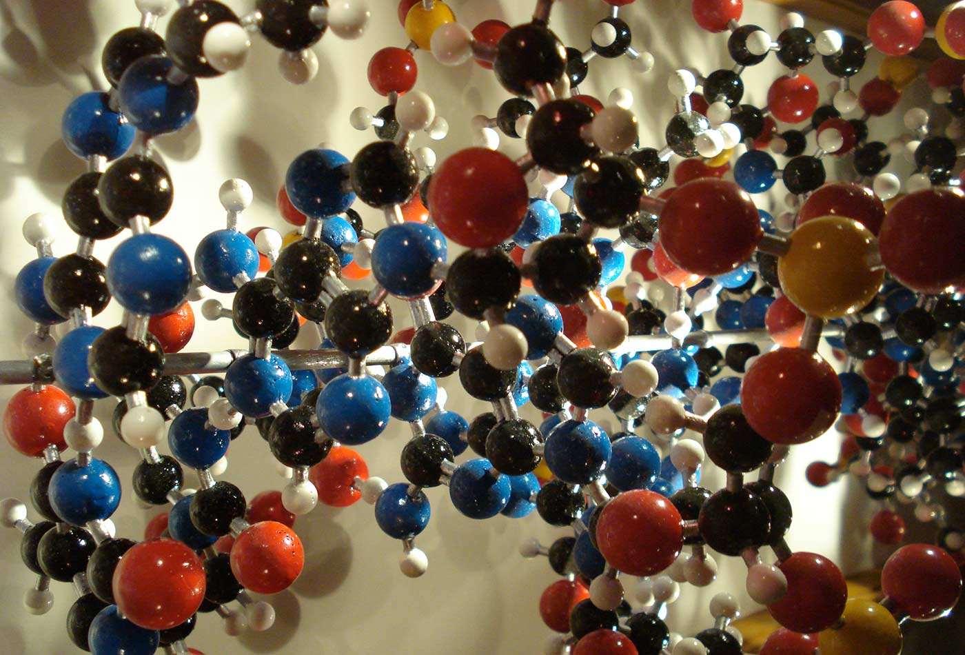 DNA Molecule display, Oxford University.