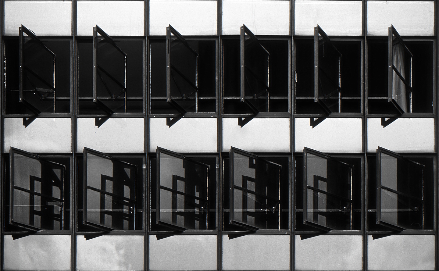 Dessau: Bauhaus Windows