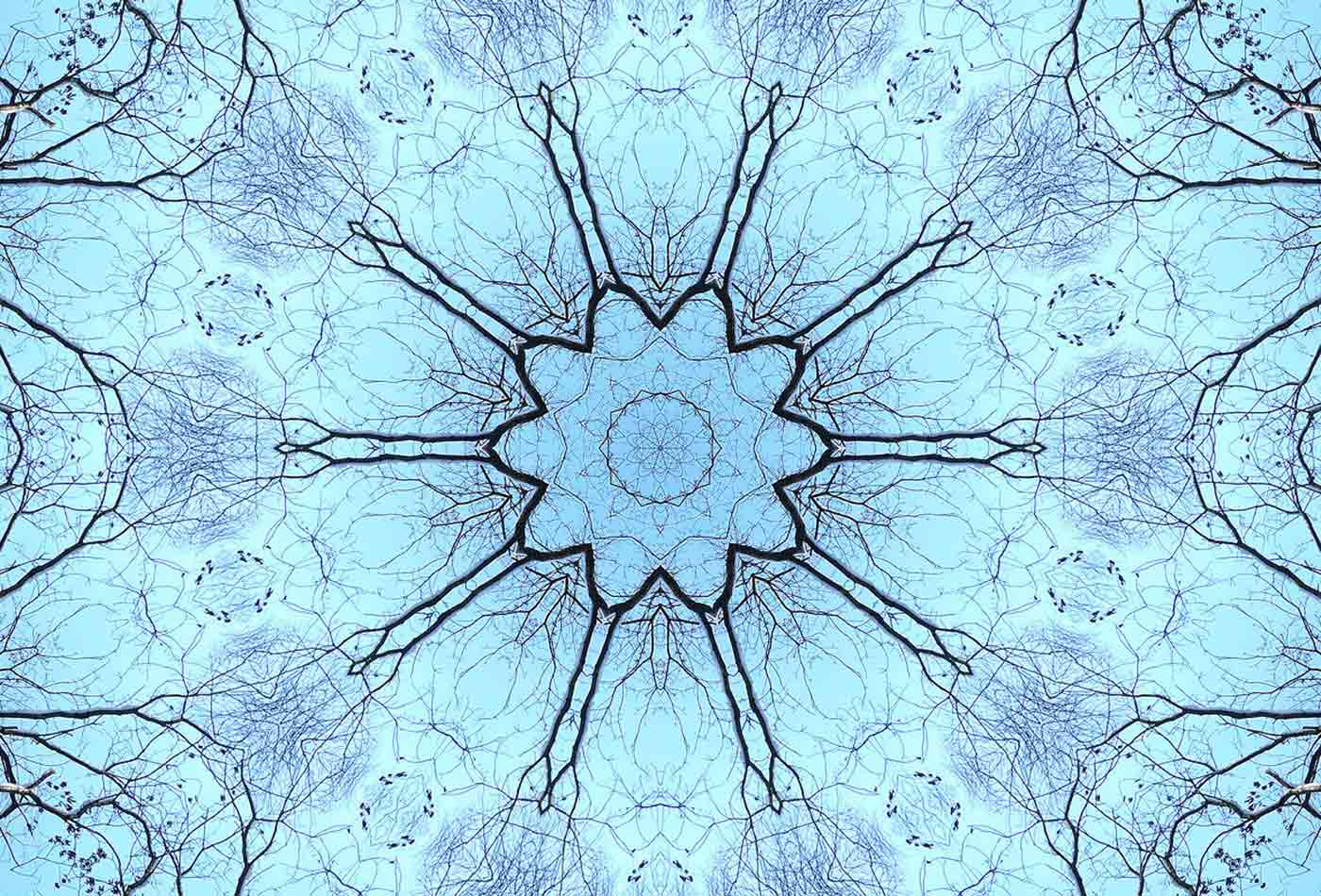 Nature-kaleidoscope