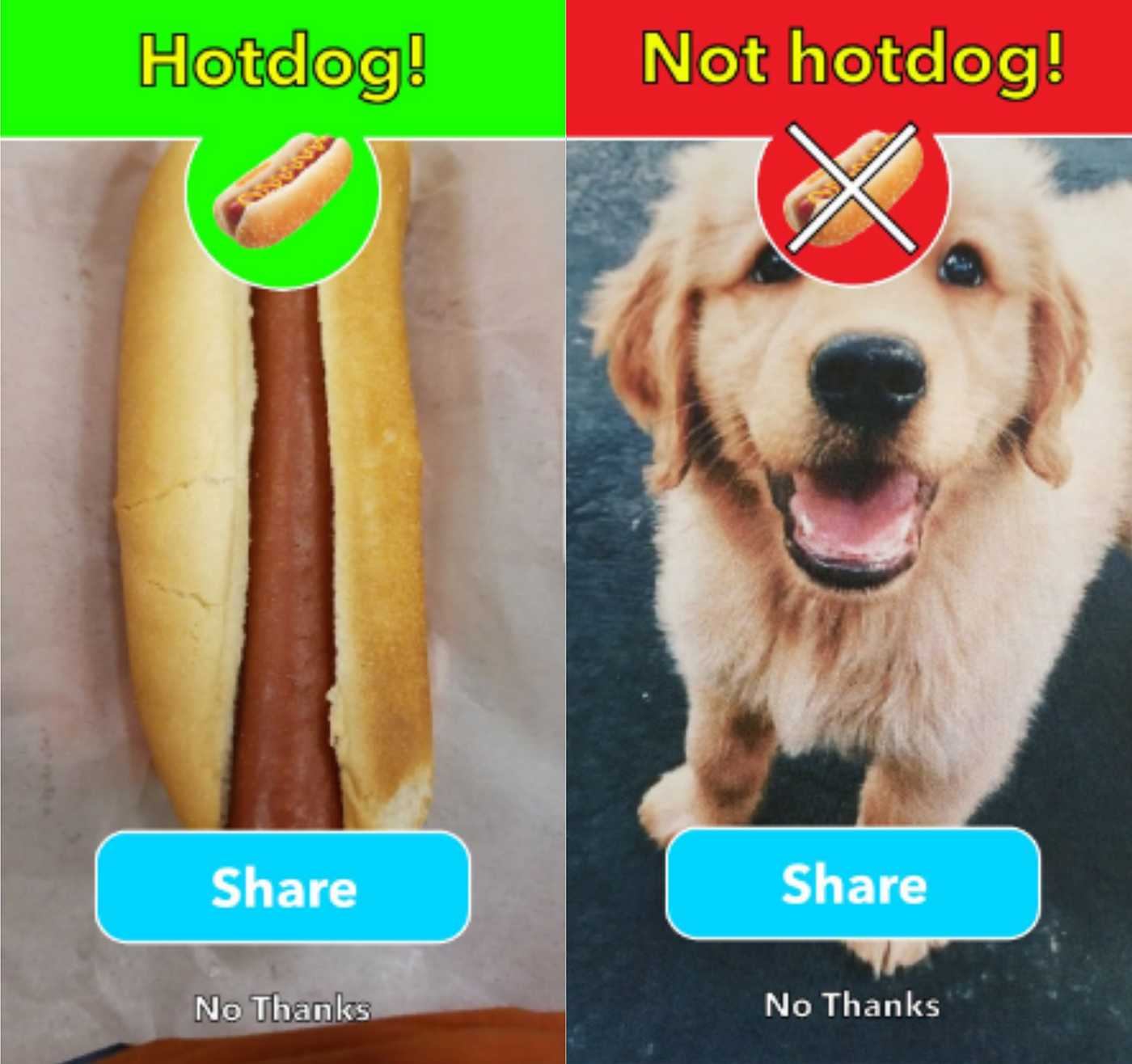 not hotdog