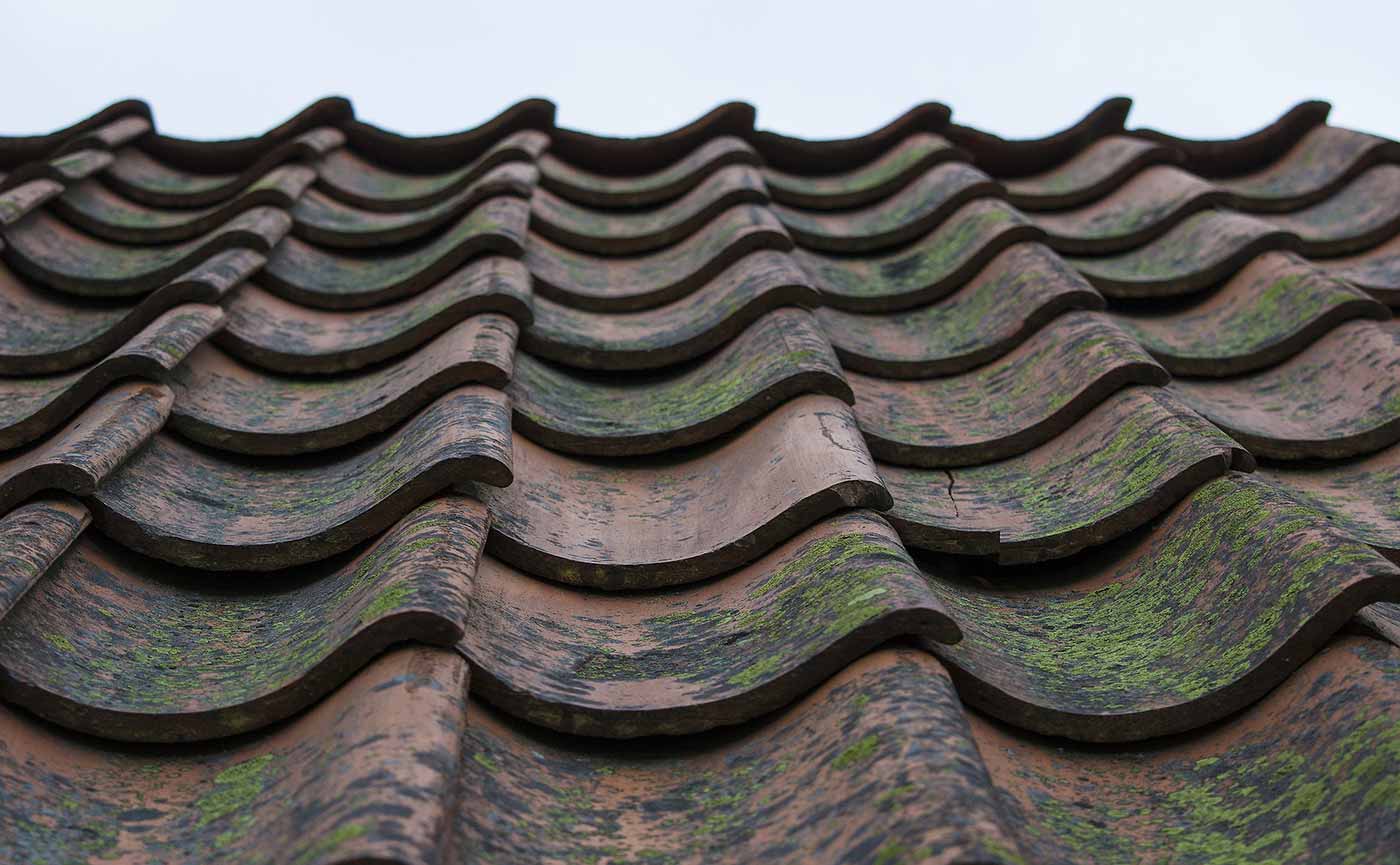 Curved roof tiles