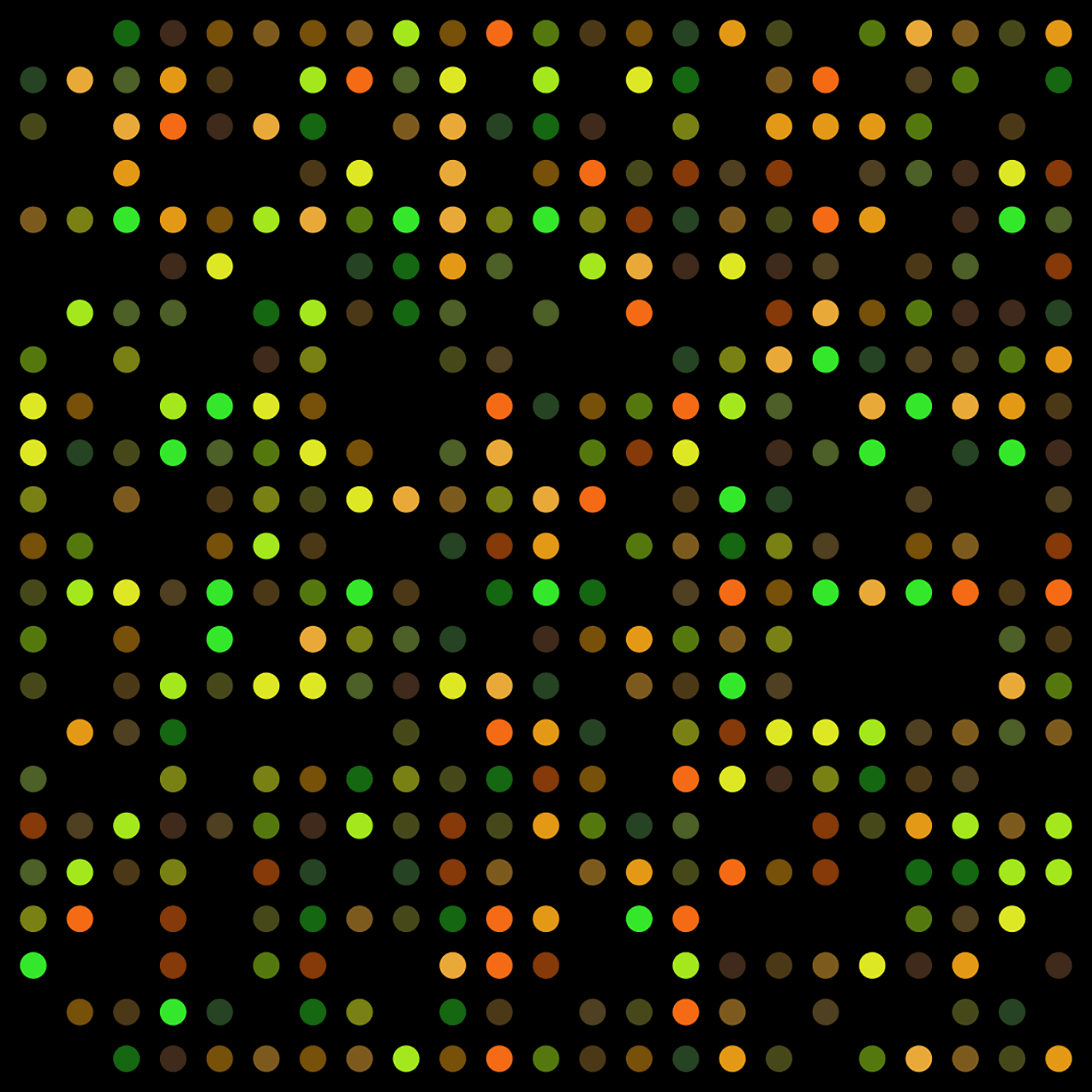 DNA micro array