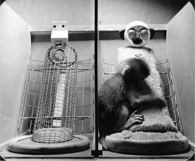 Baby monkeys preferred soft, cloth covered surrogate mothers to those with only wire and wood, even when the soft mothers offered no food