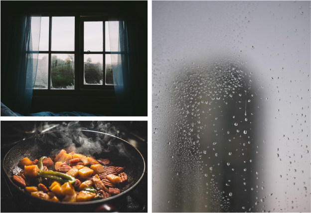 Think about the way your senses work throughout the day. Sunlight can wake you. The smell of cooking can remind you how hungry you are. The sound of rain can delight or disappoint, depending on your plans.