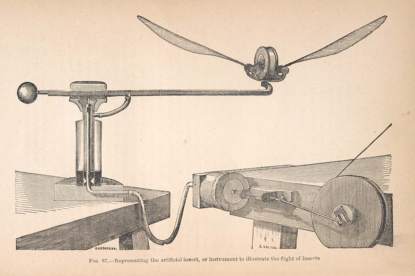 Fig. 87: Representing the artificial insect, or instrument to illustrate the flight of insects.