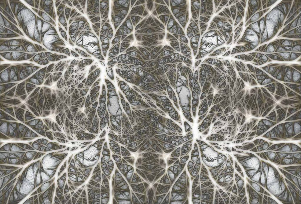 What is neural architecture search? – O’Reilly