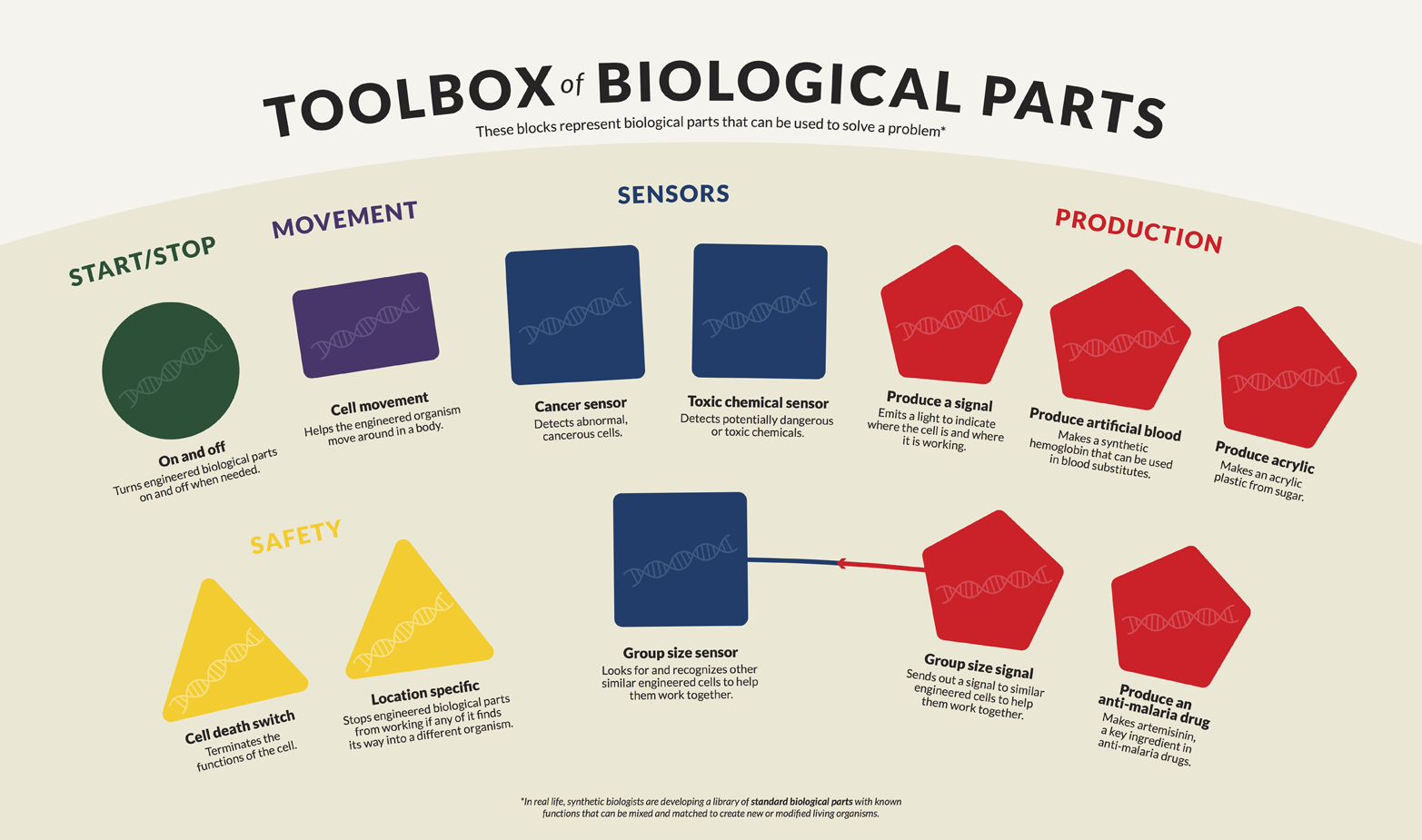 Toolbox of biological parts