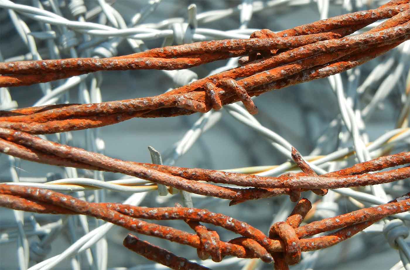 Rusty barbed wire
