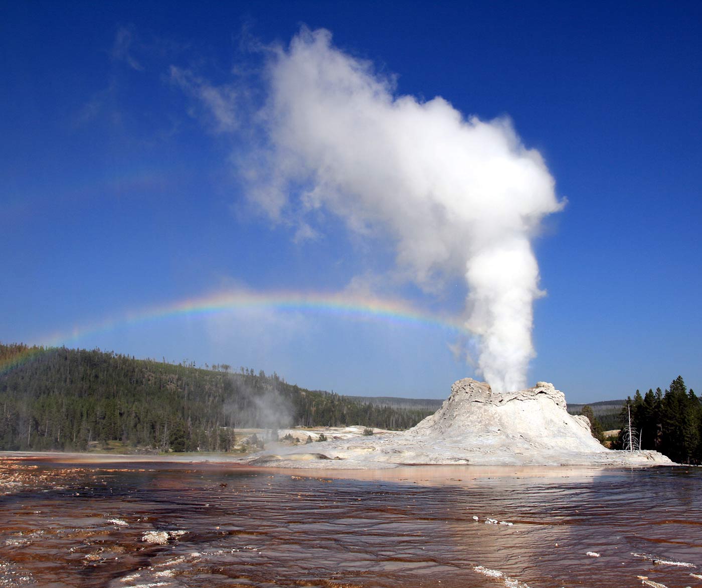 Steam Phase eruption of Castle geyser with double rainbow.