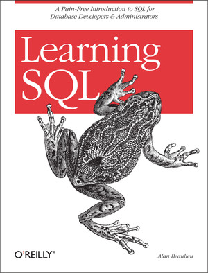 A. ER Diagram for Example Database - Learning SQL [Book]