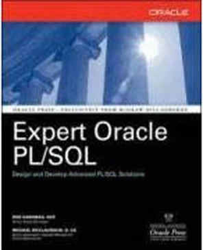 4. Invoker's-Rights Architecture - Expert Oracle PL/SQL [Book]