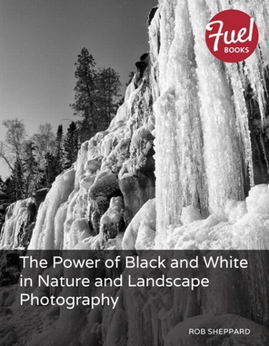 The Power of Black and White in Nature and Landscape Photography [Book]
