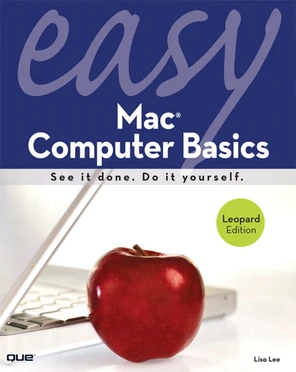Easy Mac Computer Basics [Book]