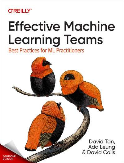 Effektive Teams für maschinelles Lernen