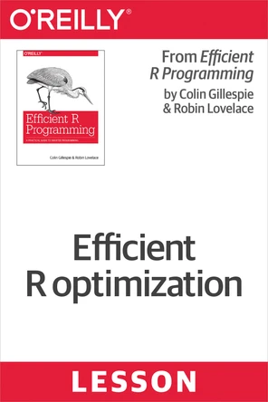 Efficient R optimization [Book]