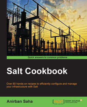 Salt Cookbook [Book]