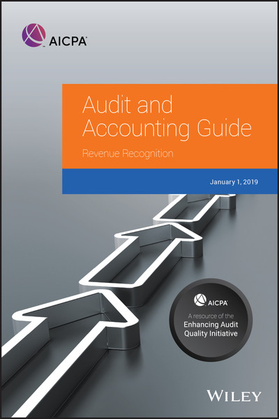 Audit and Accounting Guide