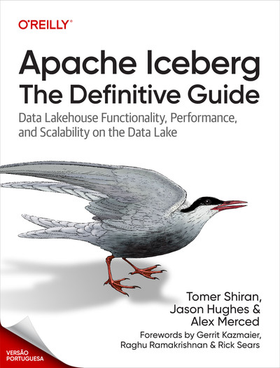 Apache Iceberg: O guia definitivo