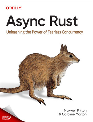 4. Integrare il Network+ nel nostro runtime asincrono - Async Rust [Book]