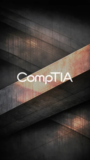 Virtual Private Network (VPN) Operation - CompTIA Network+ (N10-009 ...